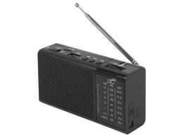 Radio przenośne LTC REGA z USB, TF, AUX, mini latarką LED i baterią BL-5C, czarne LTC