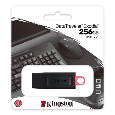 Kingston Exodia Pendrive 256GB USB 3.2 Gen1