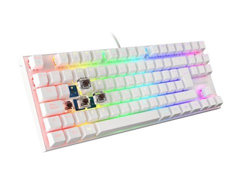 KLAWIATURA DLA GRACZY GENESIS THOR 303 TKL WHITE ES PODŚWIETLENIE RGB MECHANICZNA BROWN SWITCH