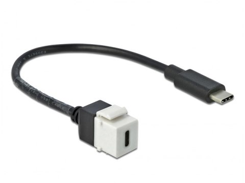 MODUŁ KEYSTONE GNIAZDO USB-C(F) 3.0->USB-C(M) NA KABLU 25CM CZARNO-BIAŁY DELOCK