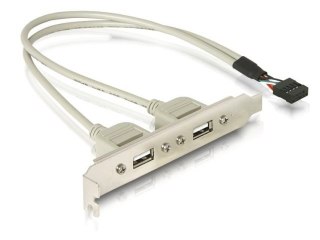 GNIAZDO NA ŚLEDZIU DELOCK 2X USB 2.0 30CM