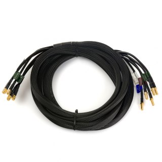 Kabel GSM Poynting 5w1 CAB-119 3xSMA 2xRP SMA 3m POYNTING