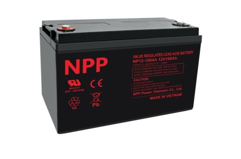 Akumulator AGM NP 12V 100Ah NPP T16 NPP POWER