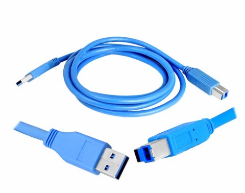 Kabel USB 3.0 A/B niebieski 1.8m LTC