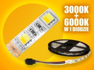 BOWI Taśma LED 5050 WW+CW 5m/300diod