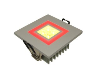 BOWI Downlight LED Power MAIZE 1W*4+2W biały ciepły+cze