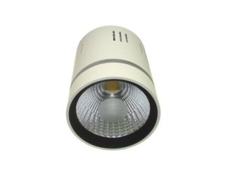 BOWI Downlight LED COB LONER 15W+3W biały ciepły+czerwo