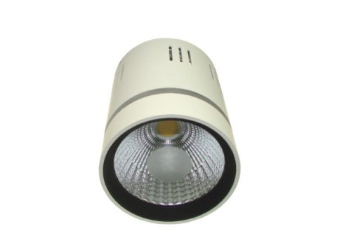 Downlight LED COB LONER 15W+3W biały dzienny+niebi