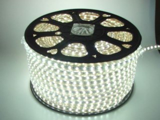 Taśma LED 5050 biały zimny 100m 230V 60diod/1m