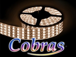 BOWI Taśma LED COBRAS 3528 biała ciepła 4,8m/2160 24V