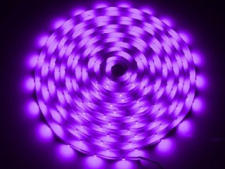 Taśma LED 5050 fioletowa 5m/150diod --