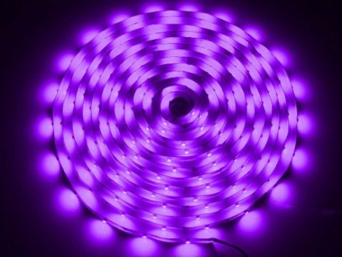 Taśma LED 5050 fioletowa 5m/150diod --