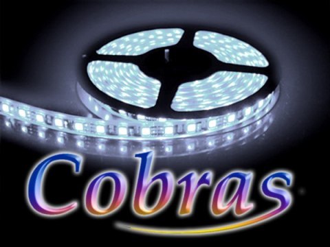 BOWI Taśma LED COBRAS 5050 biała zimna CC 5m/300diod