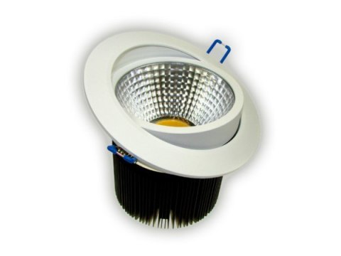 Downlight LED COB Rowana 15W biały dzienny