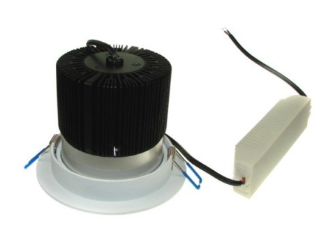 Downlight LED COB Rowana 15W biały dzienny
