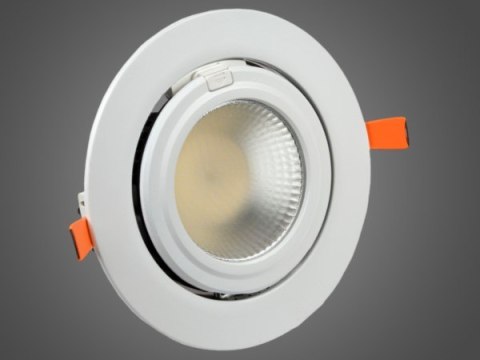 BOWI Downlight LED Gripen 38W regulowany DW