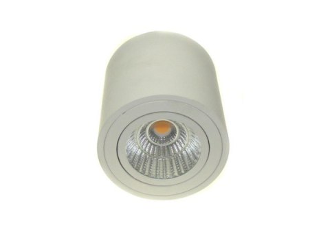 BOWI Downlight led Robard 12W DW