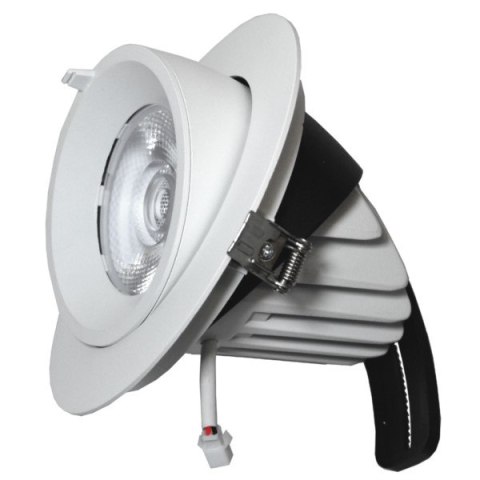 BOWI Downlight LED Tilly 30W regulowany 4000K kąt 24