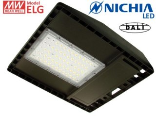 BOWI Lampa uliczna LED Bahira 100W 5500K Nichia DALI