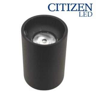 BOWI Downlight led Triad 20W IP65 4000K natynkowy czarn