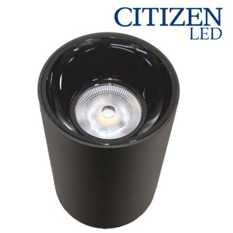 BOWI Downlight led Triad 20W IP65 4000K natynkowy czarn