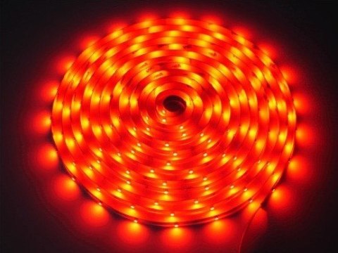 Taśma LED Premium 2835 60d/m 100m 6000k IP20