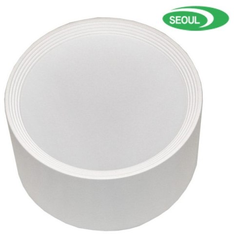 BOWI Downlight LED Perci 30W 2700K biały OSRAM