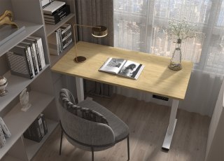 Elektryczny stelaż biurkowy Spacetronik SPE-224RW