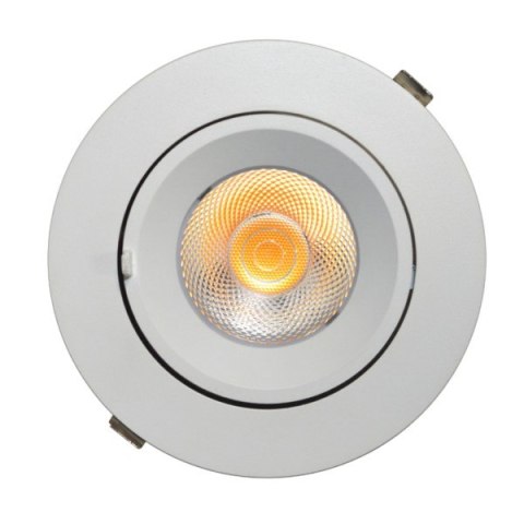 BOWI Downlight LED Tilly 30W regulowany 3000K kąt 24