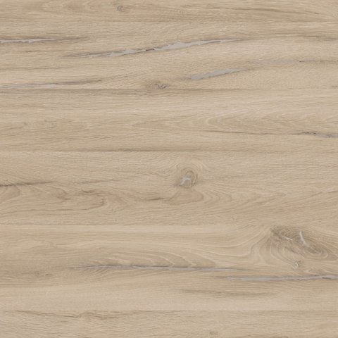 Blat biurka uniwersalny 120x60x1.8cm Dąb Sonoma