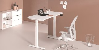 Stelaż manualny z regulacją wysokości SPE110MW