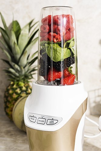 Camry Blender personalny - POWERFUL NUTRI