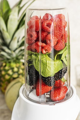 Camry Blender personalny - POWERFUL NUTRI