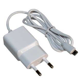 Ładowarka sieciowa USB x2 Fast Charge 2.4A biał