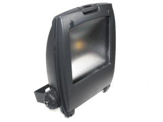 Naświetlacz LED Ralf 10W biały dzienny szary