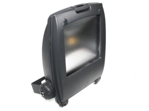 Naświetlacz LED Ralf 10W biały zimny szary