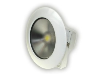 Naświetlacz LED Task 10W biały dzienny szary