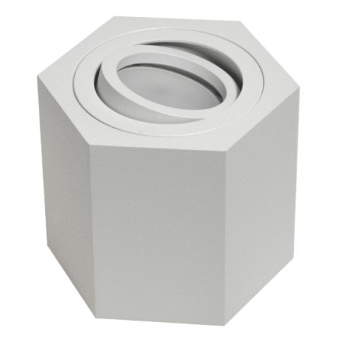 Oprawa sufitowa Areno White ruchoma aluminium 100x