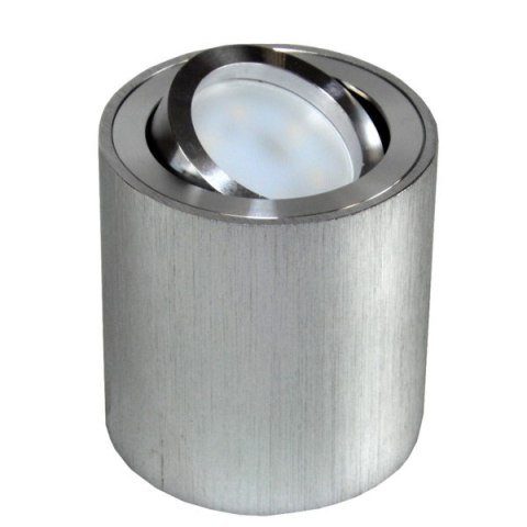 Oprawa sufitowa Febe srebrna szczotkowana ruchoma