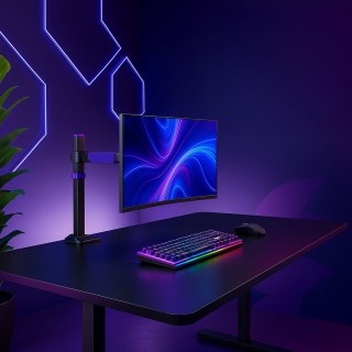 Ametystowy uchwyt na monitor Spacetronik SPAA112