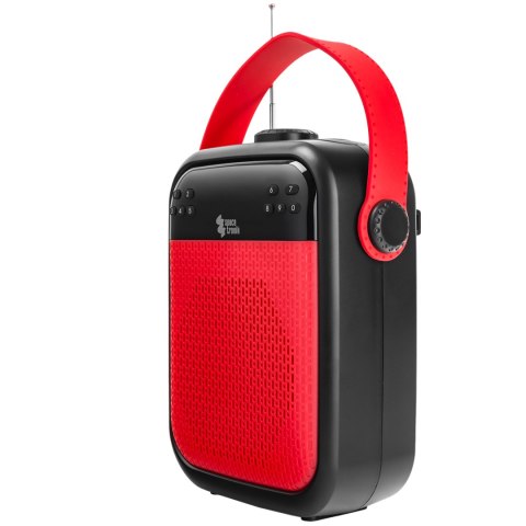 Bezprzewodowy Wzmacniacz Głosu 25W 2in1 SP-VA25R