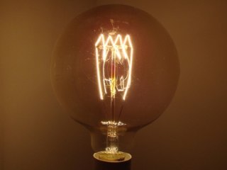 Żarówka węglowa Selred G125 60W E27 T shape