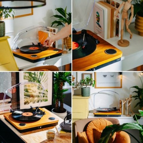 Adler Gramofon z USB i Bluetooth