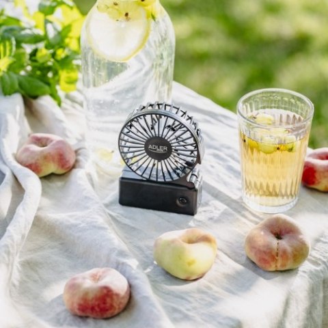 Adler Wentylator przenośny | Składana rączka | Na baterie AA