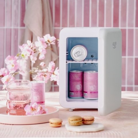 Adler Mini lodówka 4L | Chłodzenie i podgrzewanie | Do domu i samochodu | System Peltiera