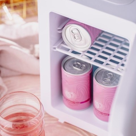 Adler Mini lodówka 4L | Chłodzenie i podgrzewanie | Do domu i samochodu | System Peltiera