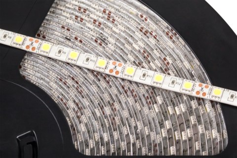 Sznur diodowy 25m Rebel (60x5050SMD/m), wodoodporny, zimny biały, 12V