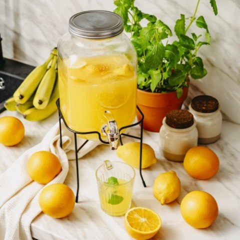 Adler Słój do napojów z kranikiem 4L ze stojakiem | Szklany dyspenser z zapasowym kranikiem