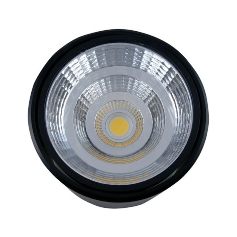 Reflektor LED punktowy regulowany, 20 W, 1600 lm, 4000 K, czarny DPM