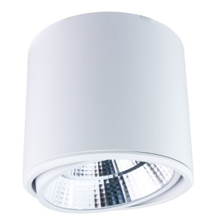 Reflektor LED punktowy regulowany natynkowy 20 W 1600 lm 4000 K biały X-LINE DPM
